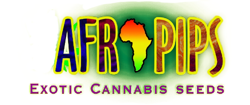 Afropips