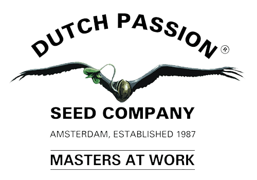 Dutch Passion