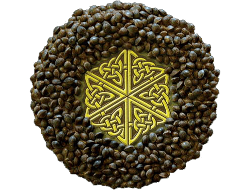 Mandala Seeds